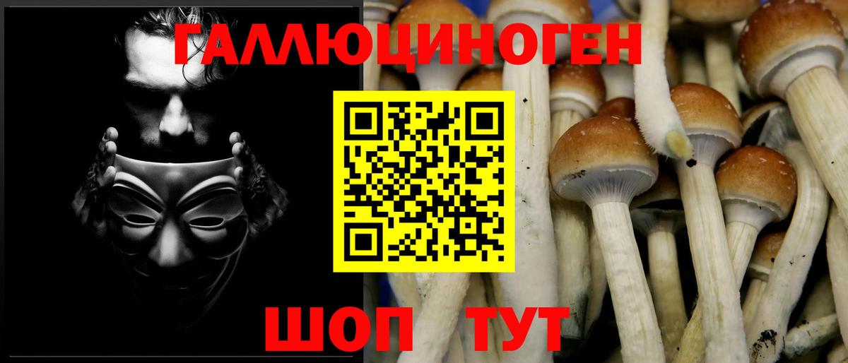 Галлюциногенные грибы Psilocybe Асбест